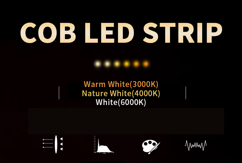 PCB Width 3mm/5mm/8mm/10mm/12mm RGBW COB LED Strips for Commercial Dream Long-lasting