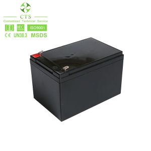  Phosphate Deep Cycle 12V 12Ah AGM Solar Battery CE Certificate Manufactures