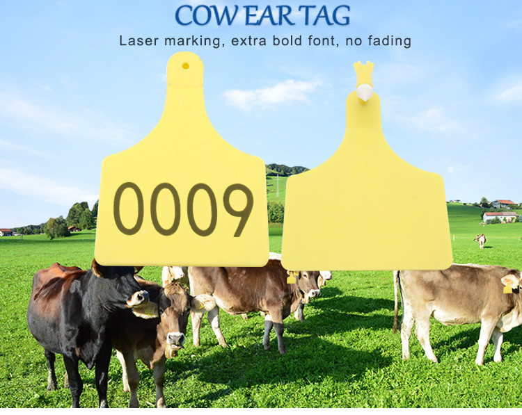 Personalized Animal Ear Tags Waterproof Cow Identification Tags