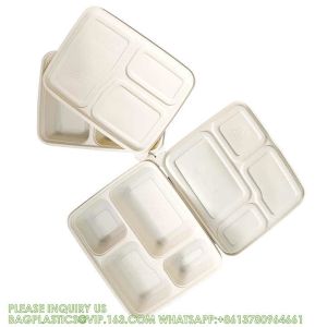 Disposable Biodegradable Sugarcane Bagasse Pulp Food Container Take Away Lunch
