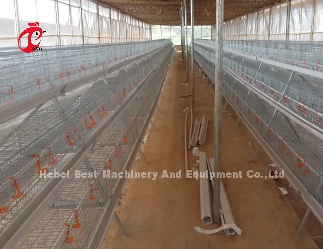 Intelligent Poultry Battery Cage System Semi Automatic And Automatic For Broilers Iris