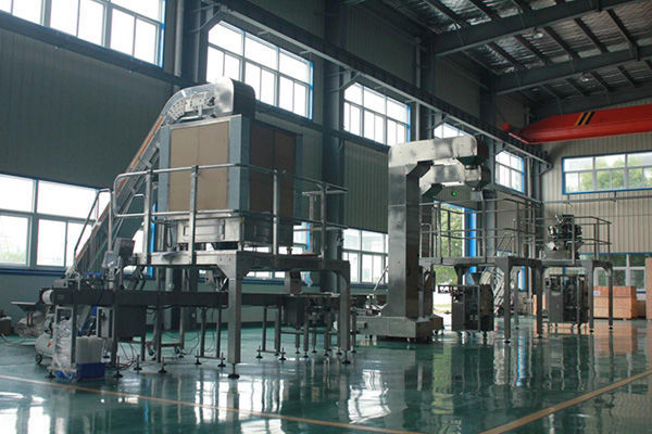 Powder, Nuts, Spices, Rice, Beans, Chickpeas, Bars 10 Head Weigher&Packaging System 2