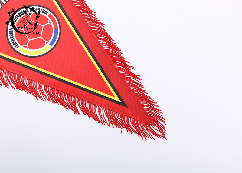 National Columbia Sublimation Printed Pennant Flags Polyester Fabric Country World Cup