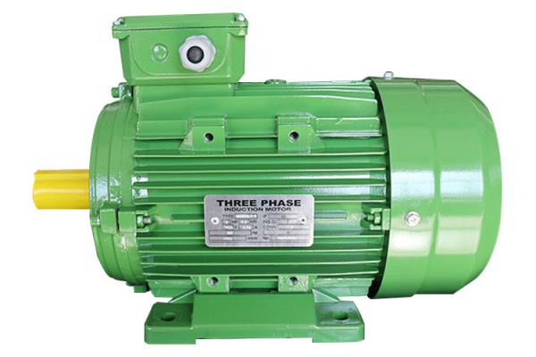 MS100L1-4 3 Phase Induction Motor Squirrel Cage 3HP 2.2KW 400V 60HZ IE1