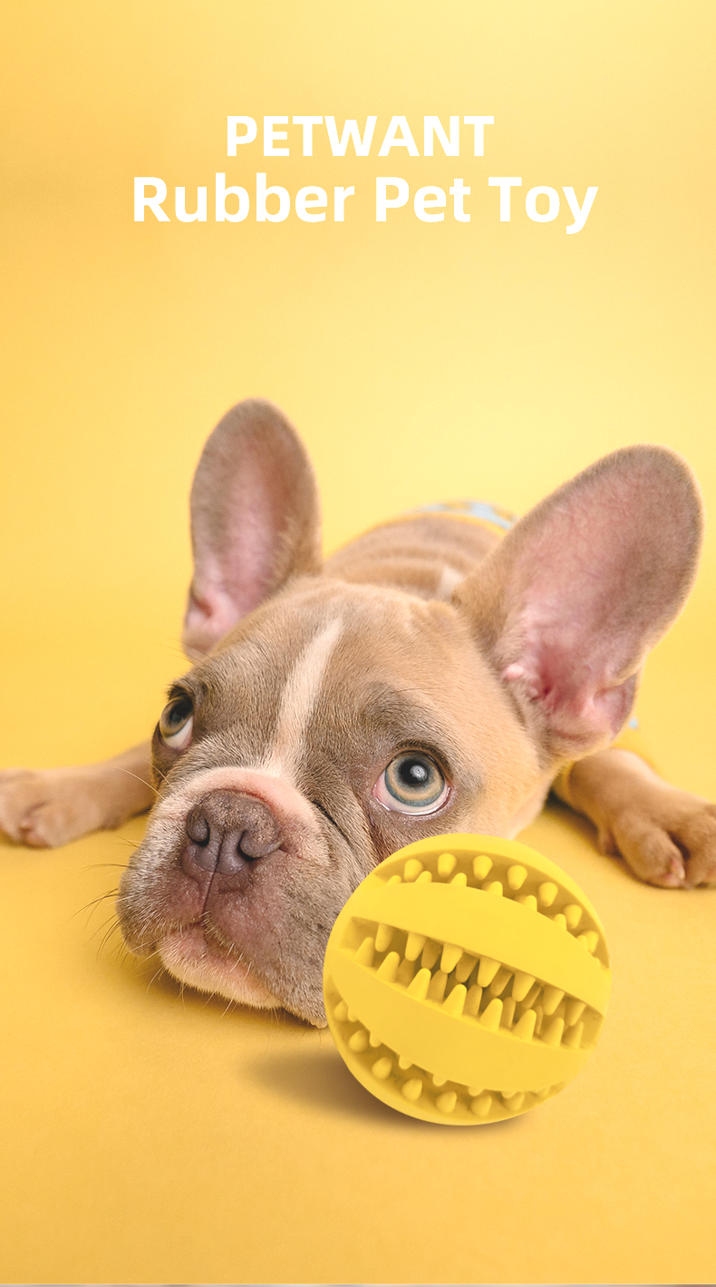 Dog Toy Pet BallHiding Food Puzzle Bite Interactive Chewfor Sustainable