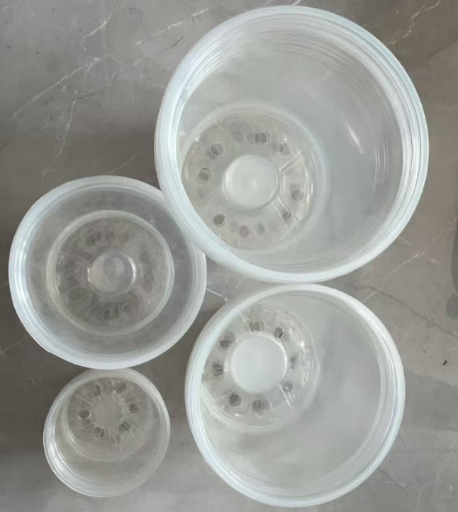 Transparent orchid pot