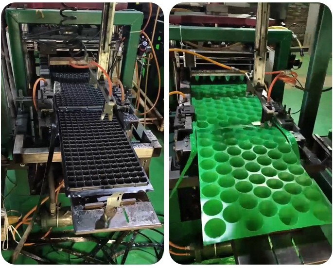 Customized 15 Cell Plant Black PS Plastic Flower Tomato Vegetable Seed Tray