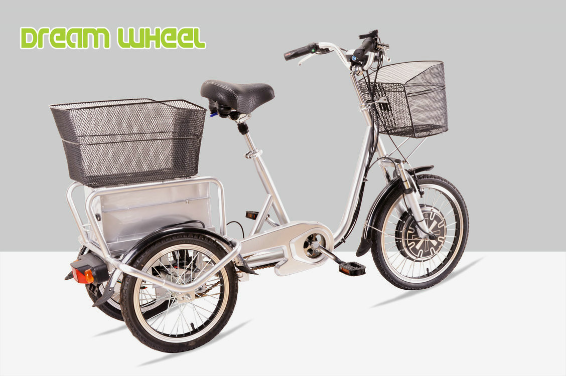 25km/H Pedal Assist Electric Trike 48V 350W Brushless Motor