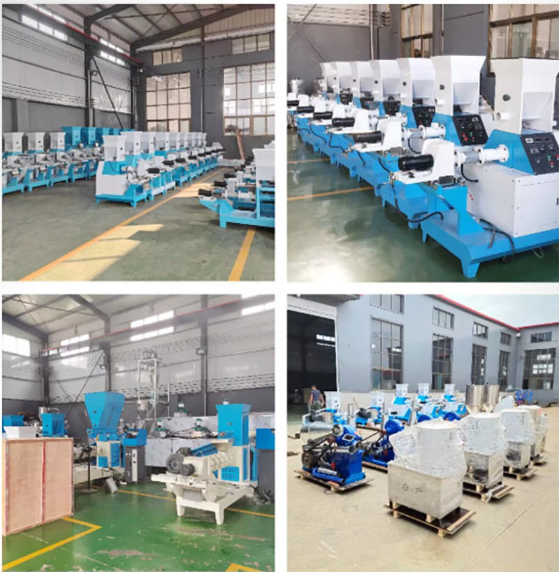5.5kw Animal Feed Pellet Production Line Floating Fish Poultry Feed Production Line