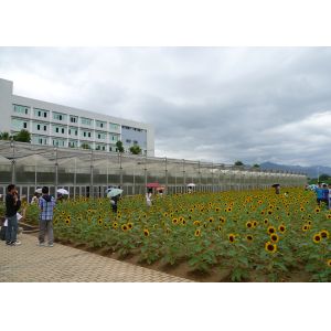 WL108Y Large IGreen Polycarbonate Panels Customized Length for Greenhouse