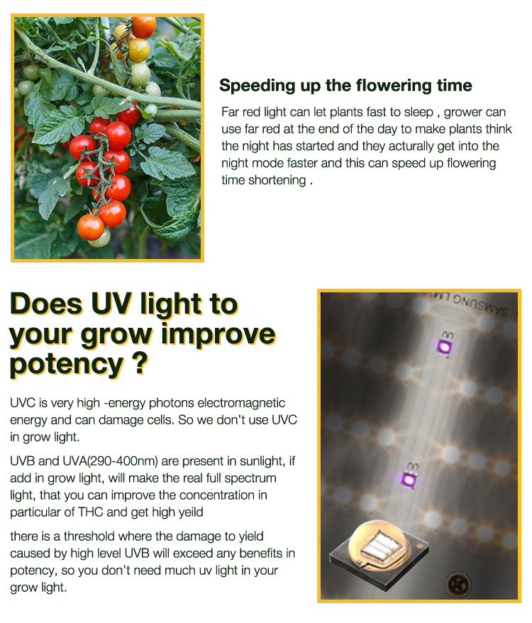 BAVAGREEN 720W Samsung LED Grow Light  red uv ir Full Spectrum  lm301h quanutm board 3