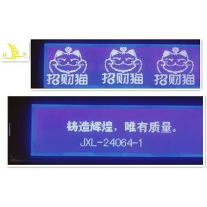STN FSTN 24064 Dots Matrix 12 O'Clock COB LCD Display Module