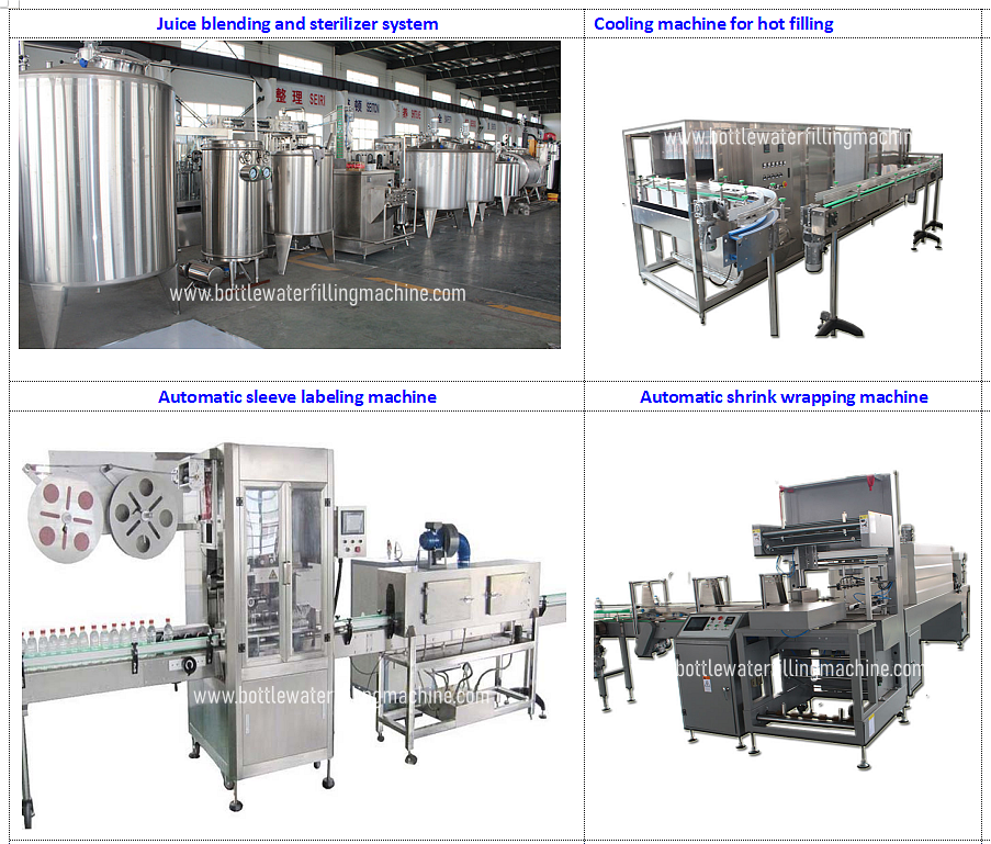 0.5L Mango Lemon Juice Filling Machine, Juice Making Machinery, Production Line