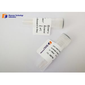  Highly Specific Mouse Source ING2 Rabbit Protein Monoclonal Antibody Manufactures