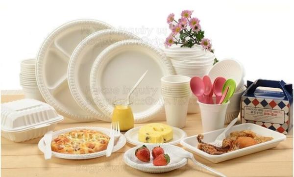 100% Biodegradable and compostable sugarcane pulp packaging disposable paper