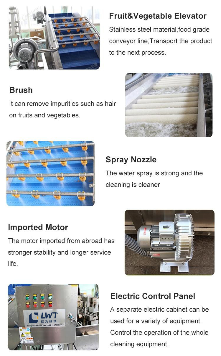 Energy Saving Automatic Pepper Vegetable Washing Machine CE