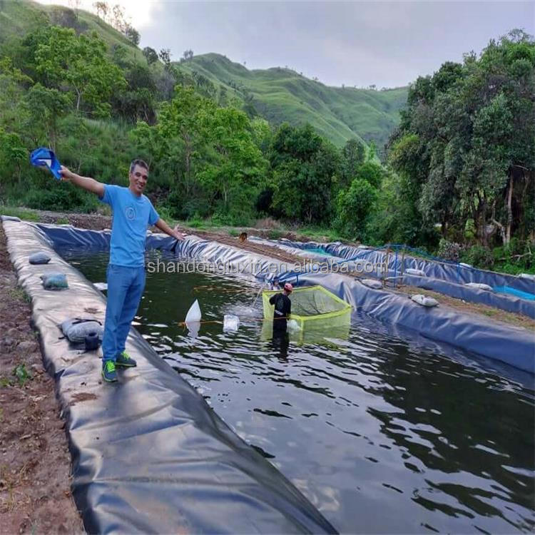 Double Texture/Double Smooth HDPE Geomembrane Industrial Design Style Fish Tank Liner
