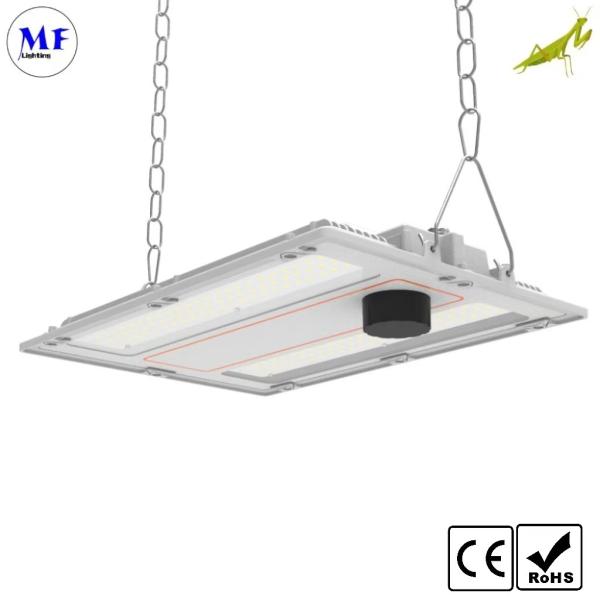 200W IP66 Waterproof LED Linear High Bay Light 170lm/W 3000K-6500K Multiple Beam