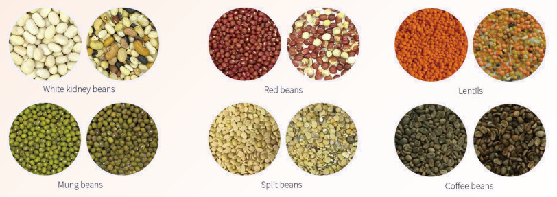 Single Chute 63 Ejectors CCD Color Sorter Multi Purpose