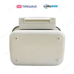 Class A/B LoRaWAN Gas Meter with LCD Screen IP68 Protection