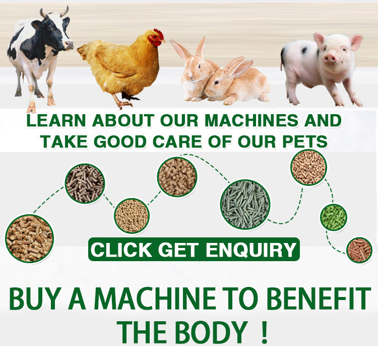 Stainless Steel Animal Feed Grinding Machine 10mm Electric Feed Grinder