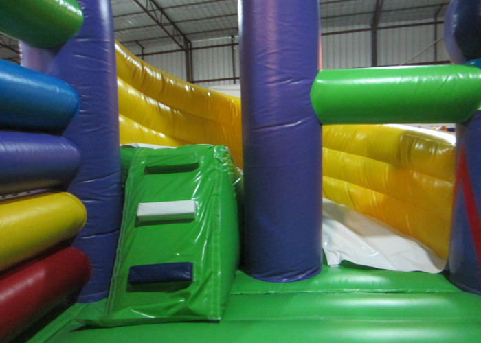Simple Garden Bouncy Castle Double Stitching , Digital Printing Infant Bounce House