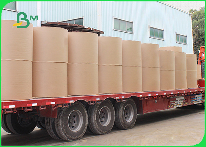 200gsm 250gsm Compostable Kraft Paper For Food Tray 790mm 890mm Signle Coated