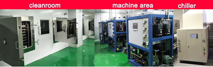 GZLY-5 5M2 Vacuum Freeze Drying Machine CIP SIP Freeze Dried Area
