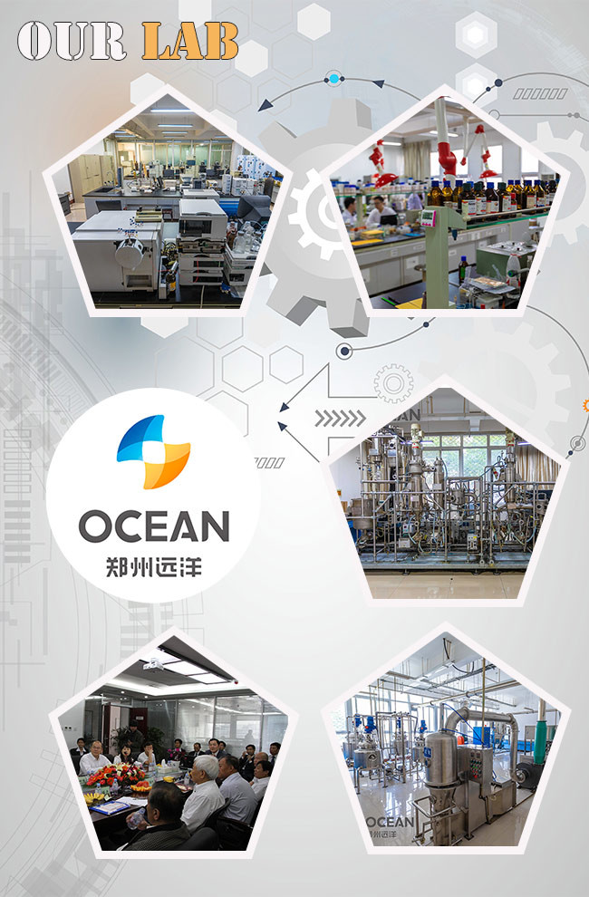 Soybean Oil Leaching Edible Oil Extraction Equipment OEM 40HQ
