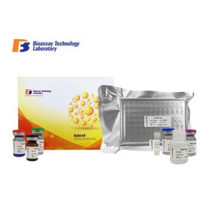 Sandwich Type Enzyme Linked Immunosorbent Assay Test Kit Rat CK-MM With Oem Service