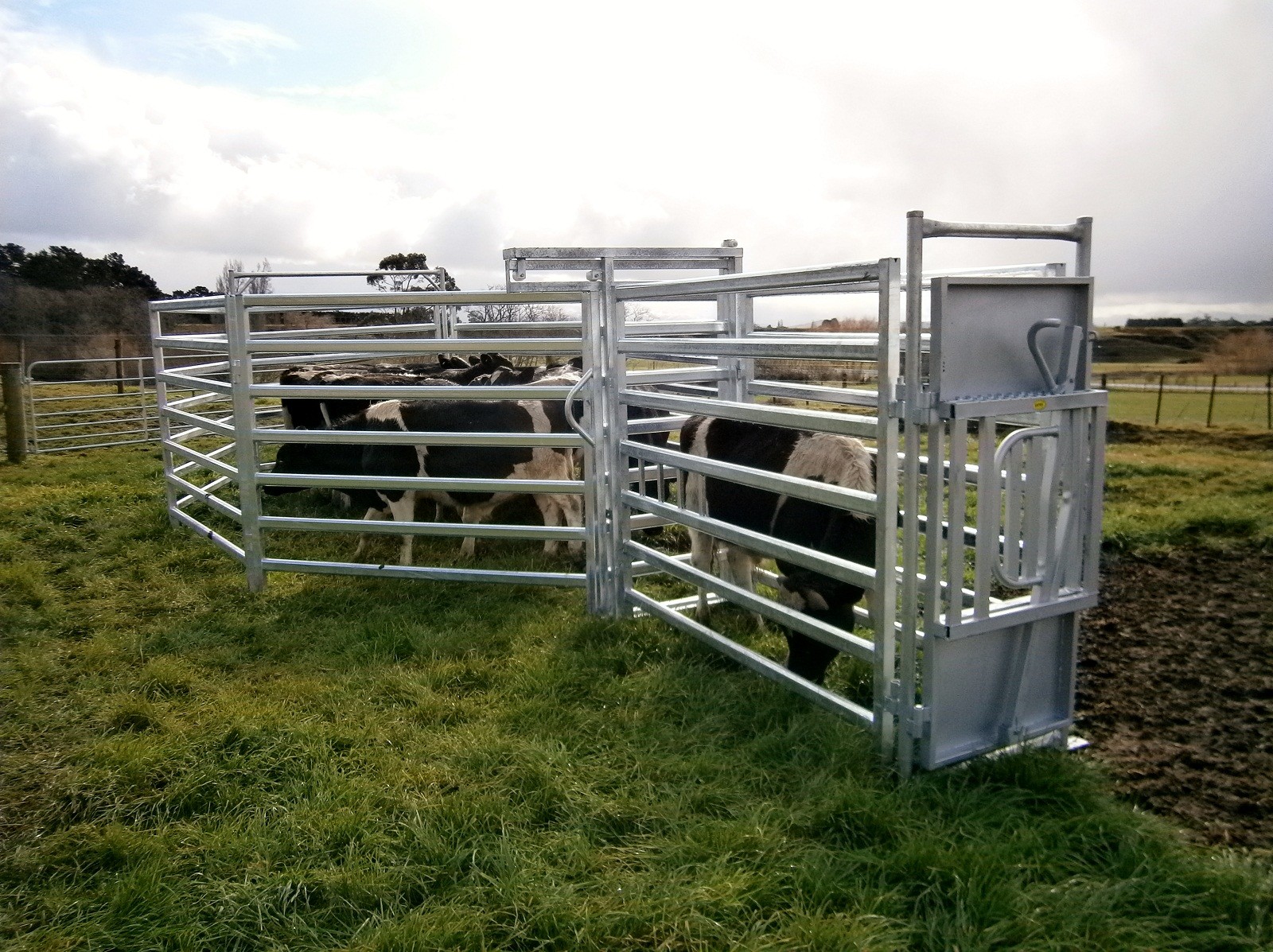 Heavy duty galvanized livestock cattle panel used corral panels