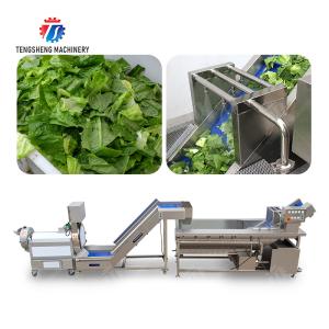 Double head cutting-hoisting-vortex washing production line Fruit Vegetable FOOD