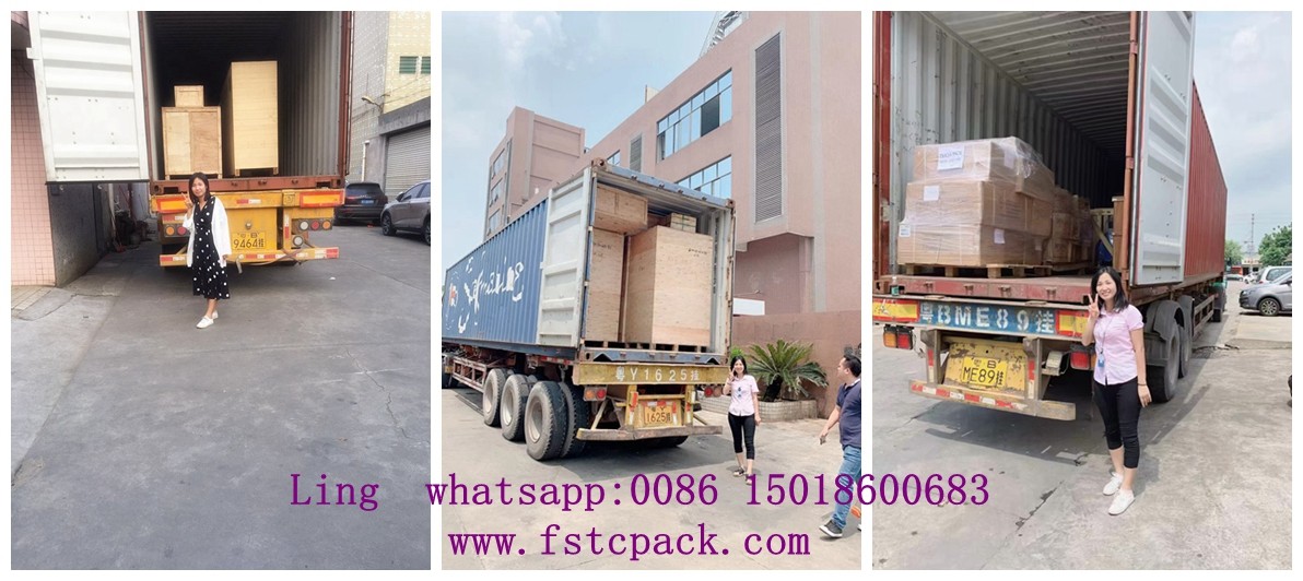 taichuan Automatic pouch packing machine seed rice packing machine for business