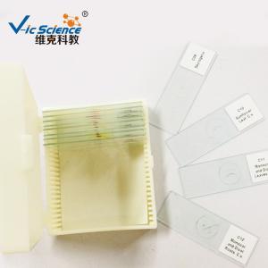 25pcs Set School Education 1.2mm Prepared Microscope Slides