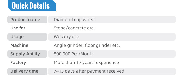 Professional Cup Wheel Diamond Grinding Wheel for Profiling Stone Slabs and Tiles