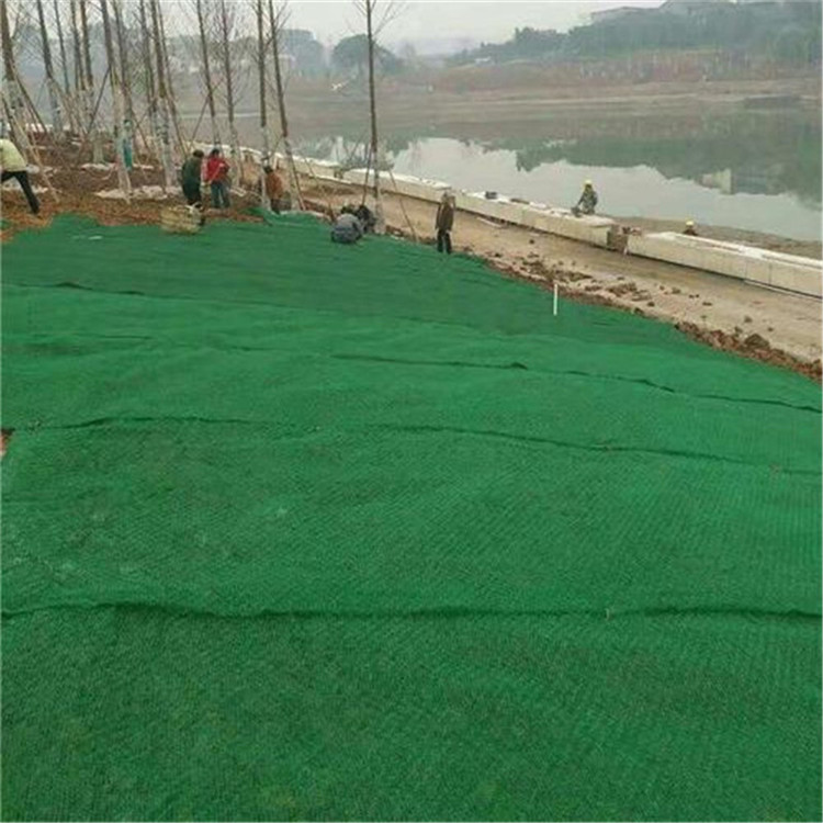 14mm Thickness HDPE Reinforced 3D Geomat The Best Service for Your Construction Needs