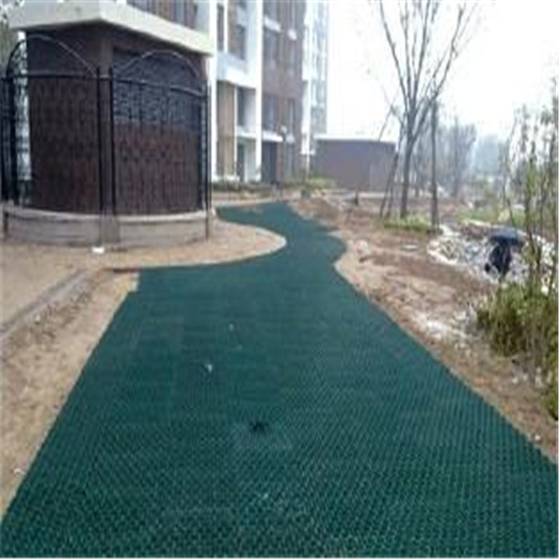 Green HDPE Plastic Planting Grass Paver Grid for Driveway CE/ISO9001/ISO14001 Certified