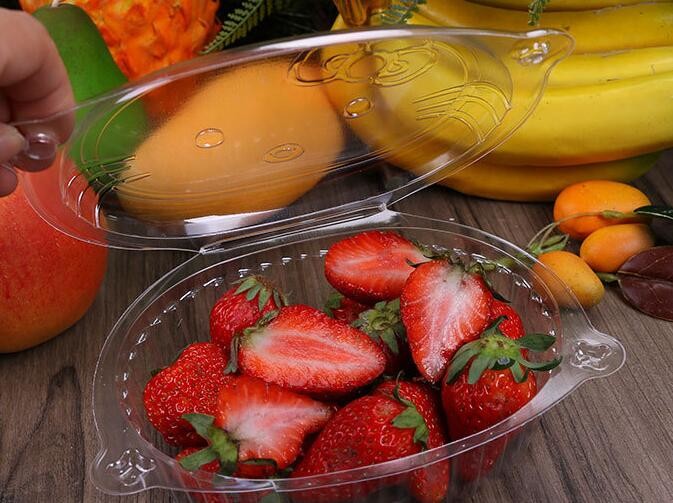Meal Prep Containers Free Sample Bento Lunch Box Biodegradable Food Container Plastic Wheat Straw Lunch Box bagplastics