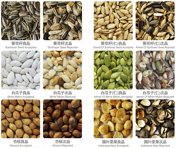 Kernels / Nuts Color Sorter , Any Sort Color Sorter With LED Light Source