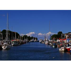 Speedy Oceania Freight Container Forwarding Services