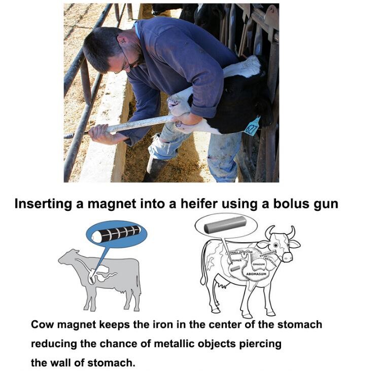 Alnico Pig Trough Feeder CM-01 Cow Stomach Magnet Prevent Veterinary Disease