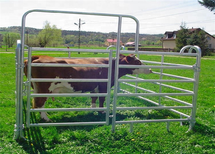 Heavy Duty Galvanized Corral Yard Cattle Panel / 40x70mm Bulk for Livestock