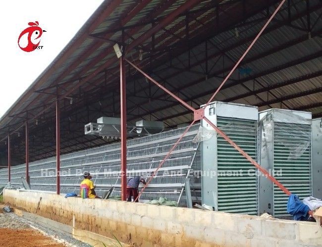 4 Tiers A Type Layer Cage System Automatic Drinking And Feeding Hot Galvanized Adela