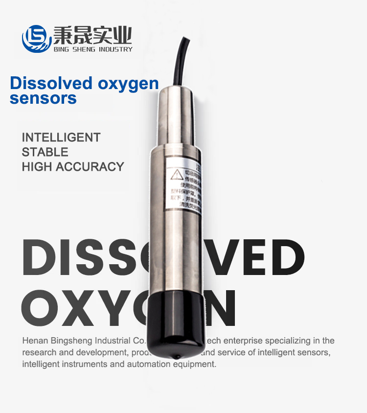 Online Digital Water Dissolved Oxygen Sensor with Modbus Segwass Probe 0-20mg/L Range