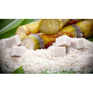 An Introduction To Sugar Rotary Drying Technology And Process