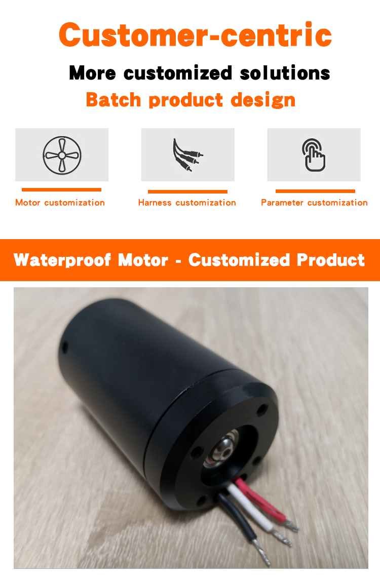 Customized Size Black Waterproof Electric Motor For Diving Robot