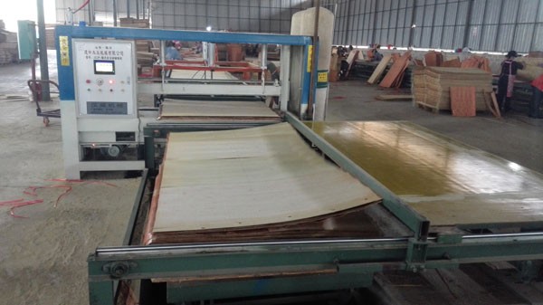 High Gloss 20mm White Faced Plywood For Furniture