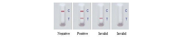 Bovine And Sheep Veterinary Test Kit Brucellosis Test Kit Dogs Antibody 25Tests/Kit ISO9001