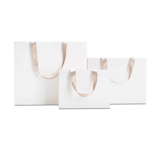Custom Logo Popular Boutique Shopping Paper Bag in Gravure Print Design for