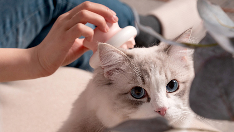 Pain Free Self Cleaning Pet Grooming Tool ABS Cat Bath Massage Comb